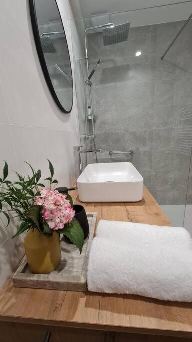 Сasa de vacaciones Rosa De Ciudad. Chalet Centrico Con Mucha Intimidad Santander